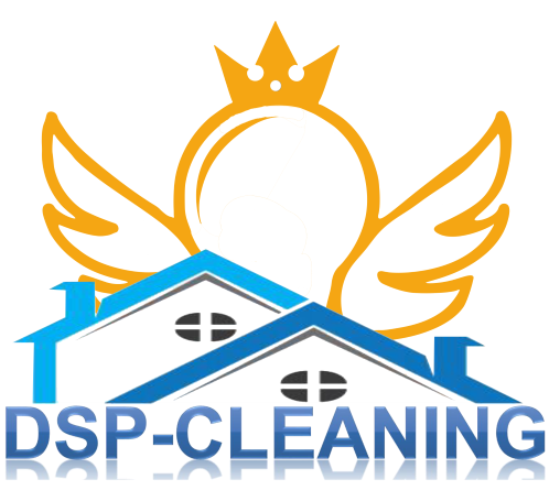 DSP CLeaning Logo
